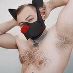 Profile picture of mikeypup