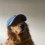 puffyduck Profile Picture